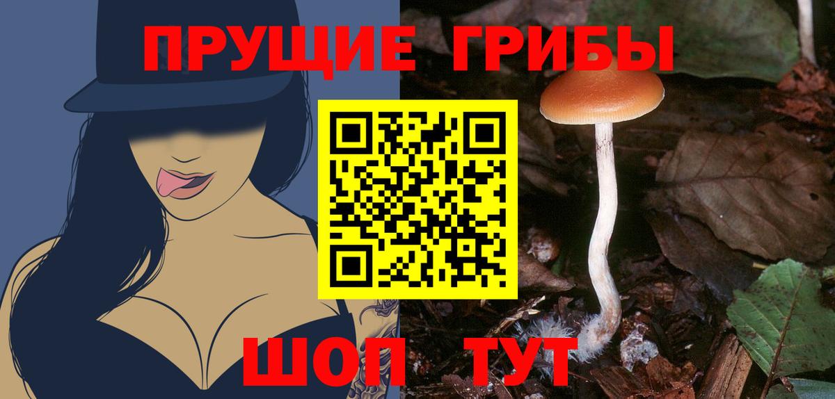 Каменск-Уральский  Галлюциногенные грибы ЛСД  Псилоцибиновые грибы MAGIC MUSHROOMS  Вход с VPN 